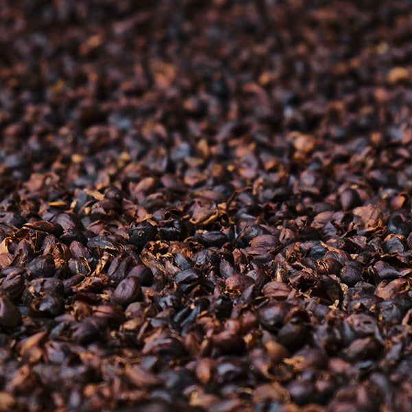 Close-up of dried coffee husks (cascara) used for brewing tea, showing rich brown tones and natural texture.