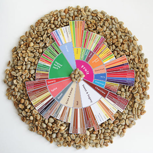 Green coffee beans surrounding a specialty coffee flavor wheel showing tasting notes and cupping categories.